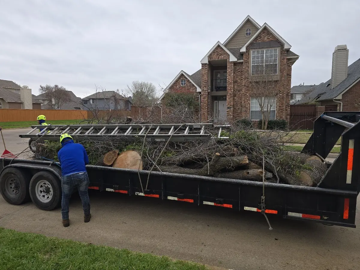 Expert Tree Pest Control with proper safety equipment in Pineville
